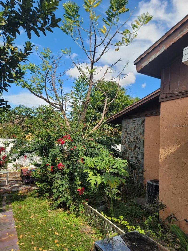 4177 Flying Fortress Avenue, Kissimmee, FL 34741 Photo