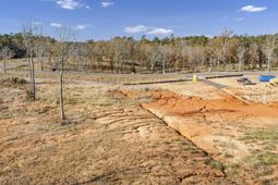 Ferry Phil Court photo 4