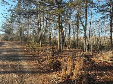 0 wesley Drive, Madison Heights, VA 24572