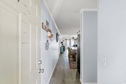 4350 Intercoastal Dr. photo 4