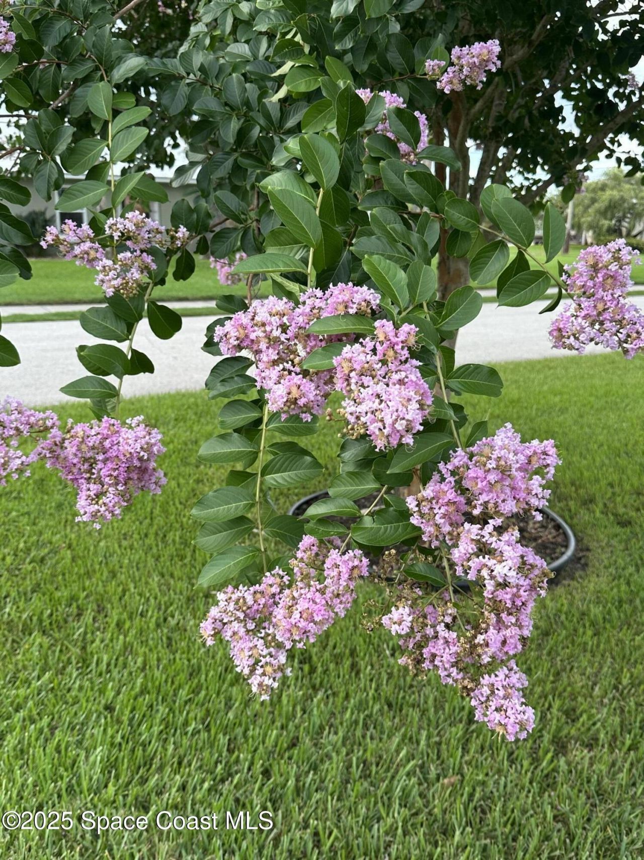 1100 S Riverside Drive, Edgewater, FL 32132 Photo