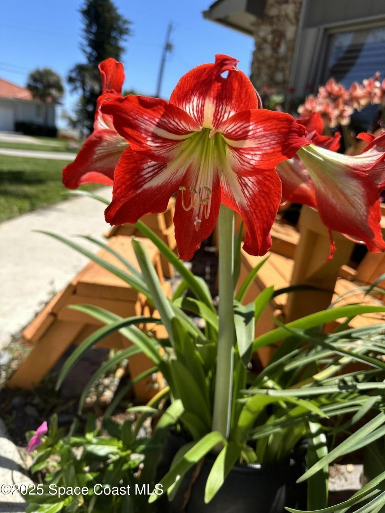 1100 S Riverside Drive, Edgewater, FL 32132 Photo