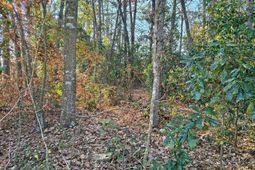 0 Pointer Lane photo 4