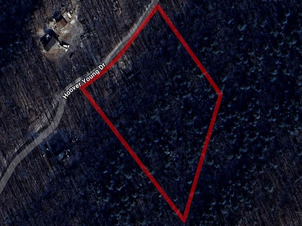 600 Hoover Young Dr, Capon Bridge, WV 26711