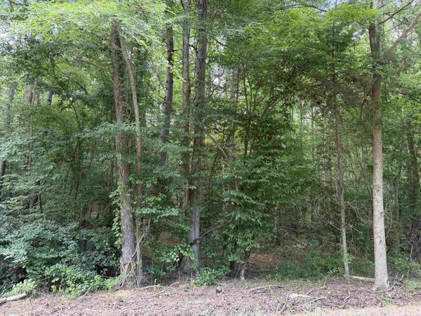 9 ROSE CREEK RD, Selmer, TN 38375