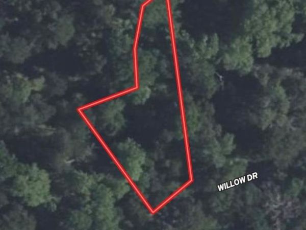 Lot 118 Willow Dr , Wills Point, TX 75169