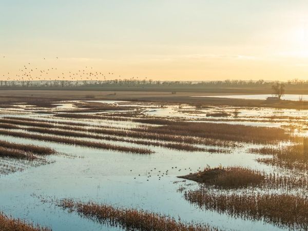 CR 316 Road, Carrollton, MO 64633