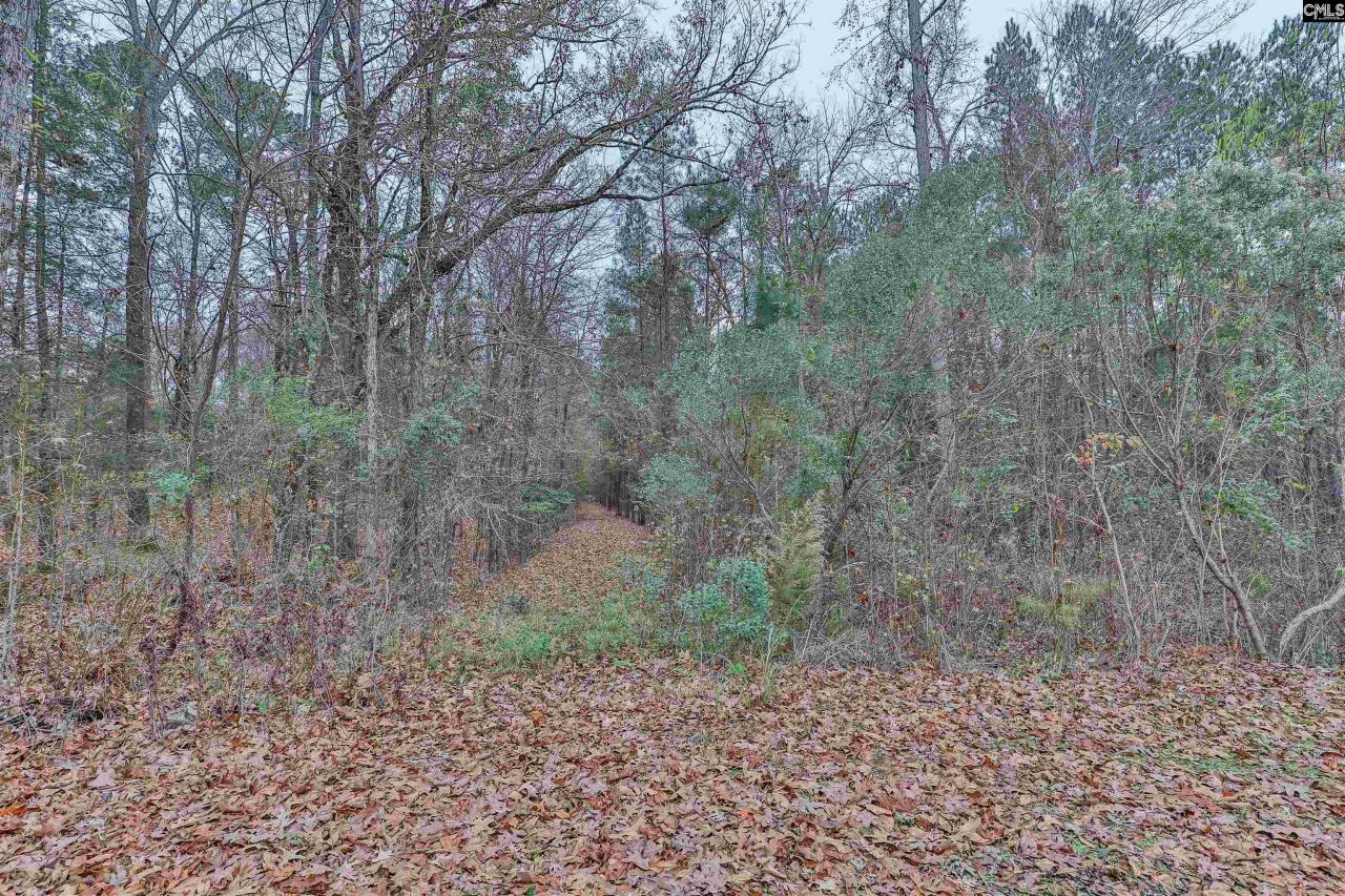 2101 Kennerly Road Photo 35