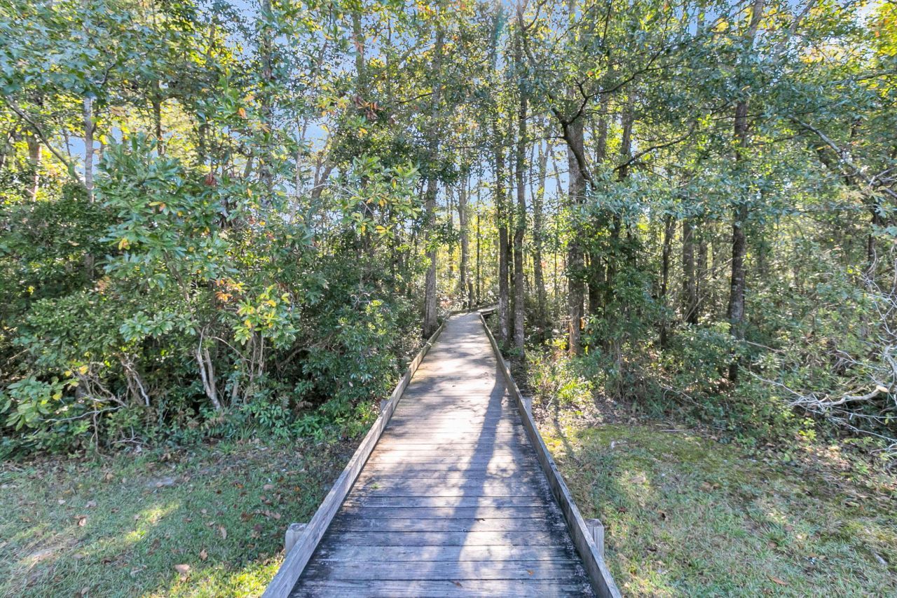 203 Towering Pine Drive Photo 56