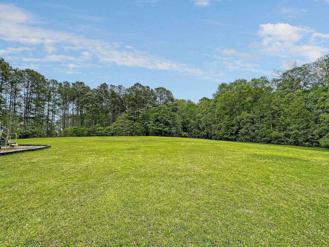 203 Towering Pine Drive Photo 57