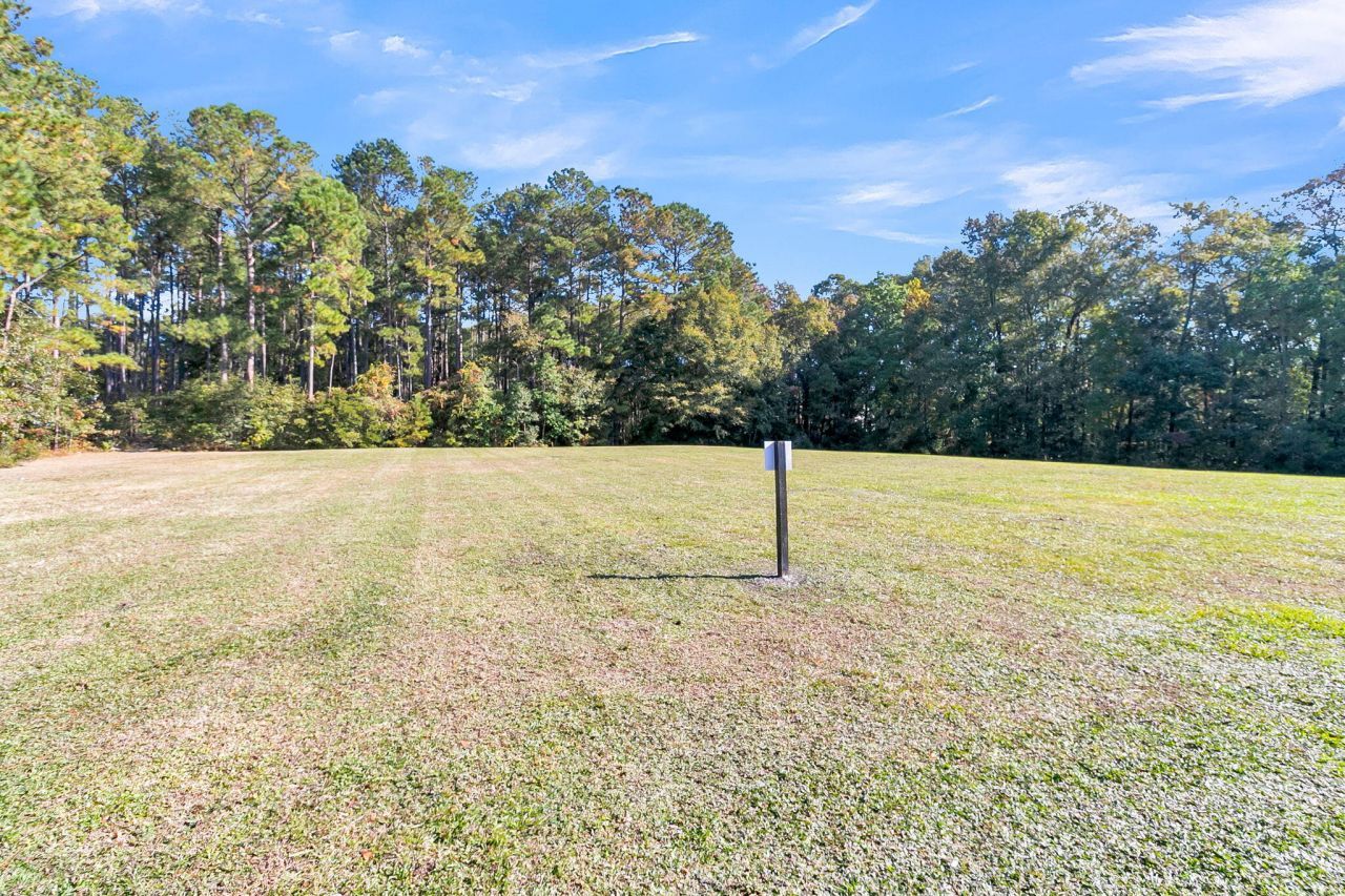 203 Towering Pine Drive Photo 58