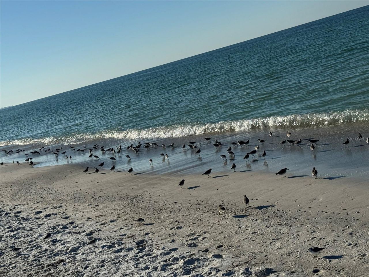 517 42nd Street, Holmes Beach, FL 34217 Photo