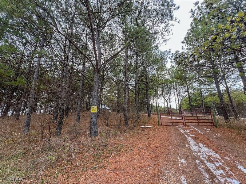 0 Oakland Church Road, Chandlersville, OH 43727 Photo 31