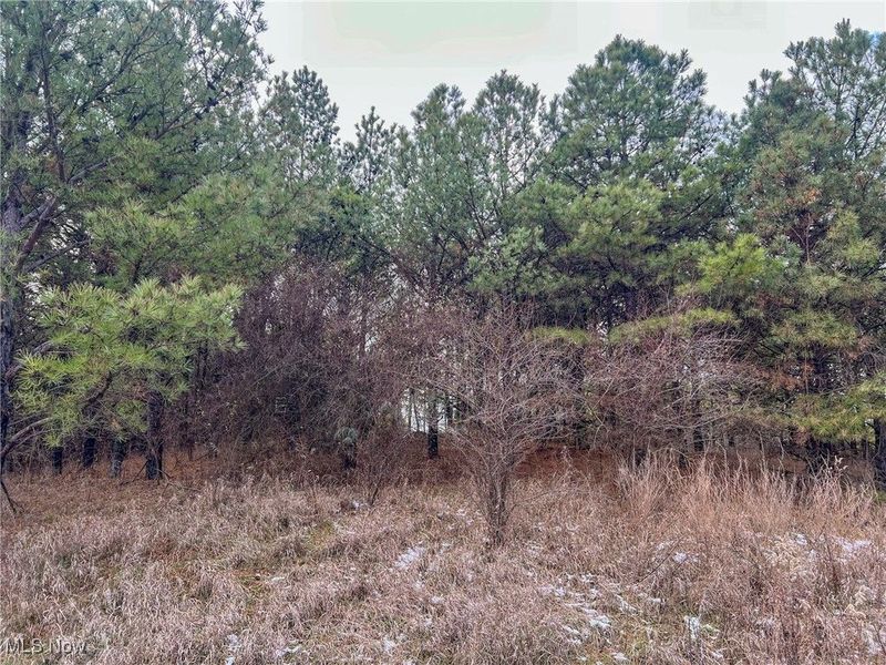 0 Oakland Church Road, Chandlersville, OH 43727 Photo 32