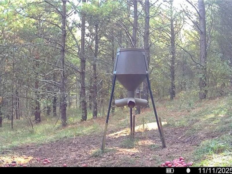 0 Oakland Church Road, Chandlersville, OH 43727 Photo 35