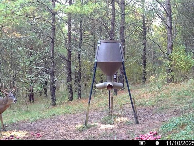 0 Oakland Church Road, Chandlersville, OH 43727 Photo 36