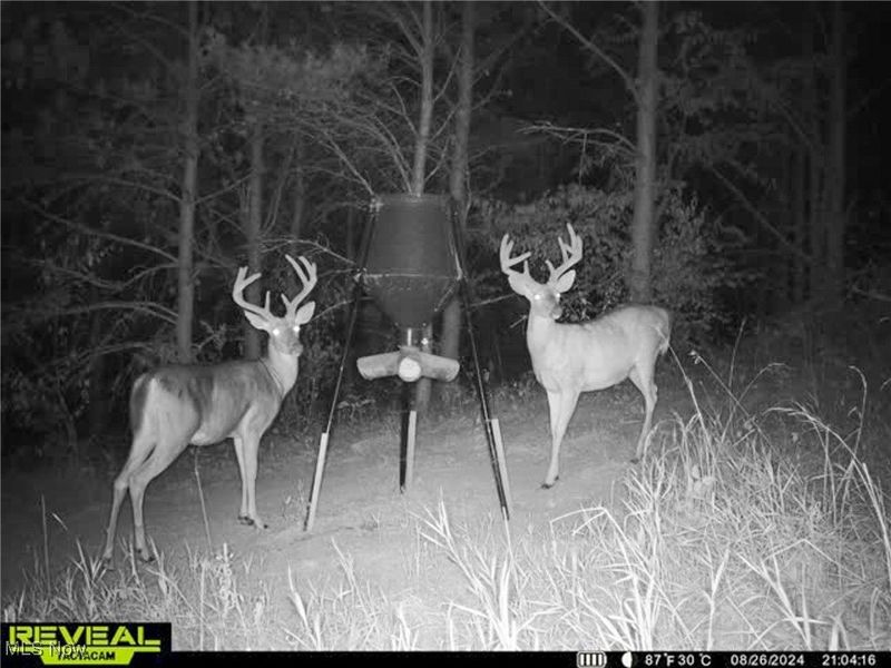 0 Oakland Church Road, Chandlersville, OH 43727 Photo 38