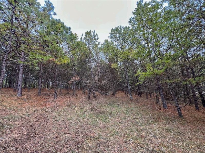 0 Oakland Church Road, Chandlersville, OH 43727 Photo 5