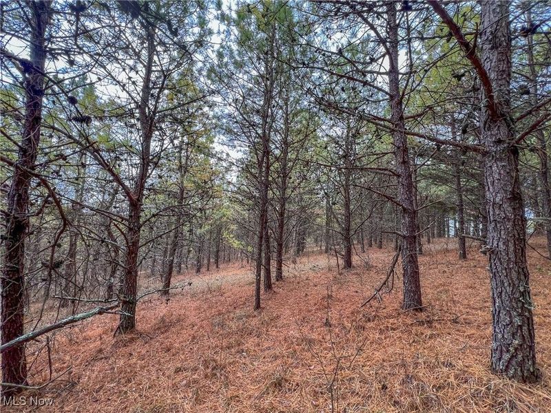 0 Oakland Church Road, Chandlersville, OH 43727 Photo 6