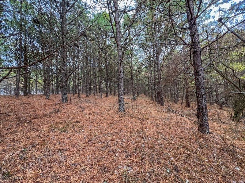 0 Oakland Church Road, Chandlersville, OH 43727 Photo 7