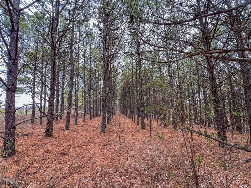 0 Oakland Church Road, Chandlersville, OH 43727 Photo 8