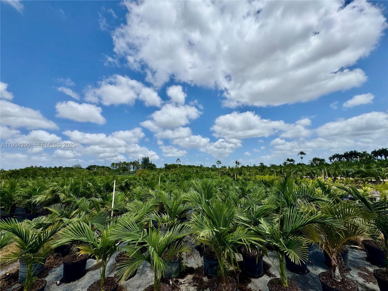 32800 SW 202nd Ave, Homestead, FL 33034 Photo