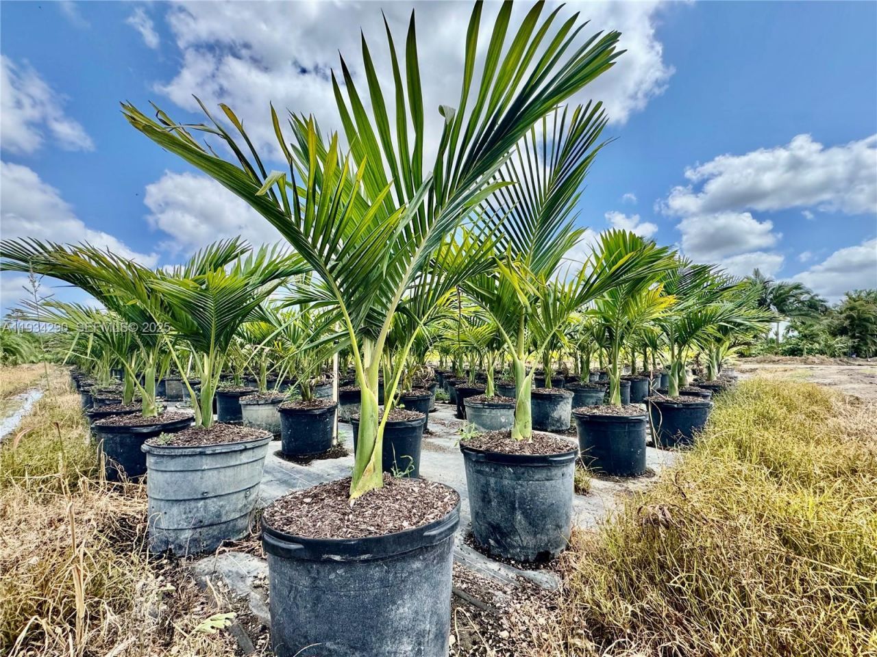 32800 SW 202nd Ave, Homestead, FL 33034 Photo