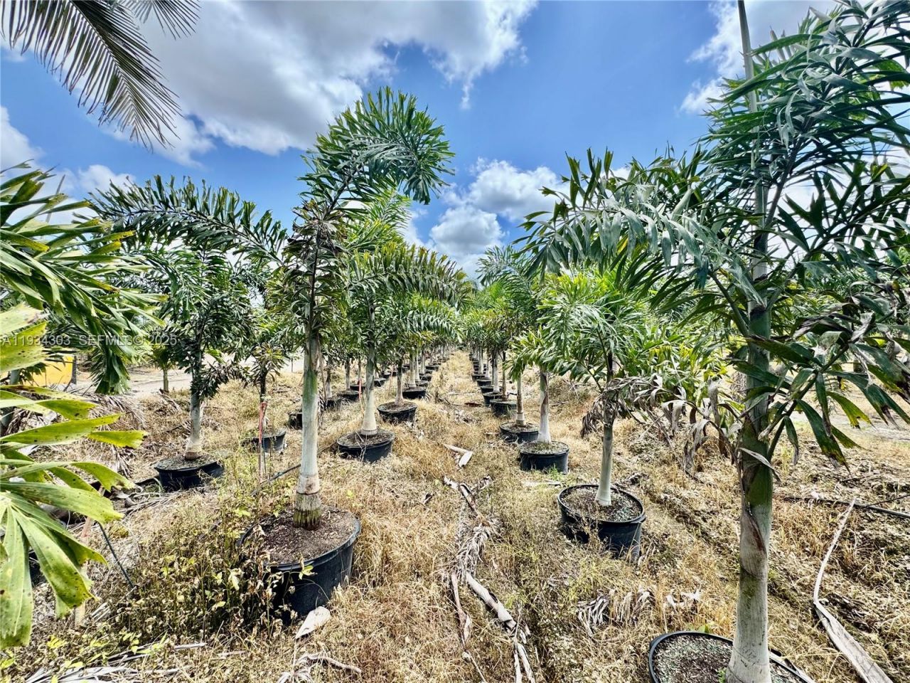 32800 SW 202nd Ave, Homestead, FL 33034 Photo