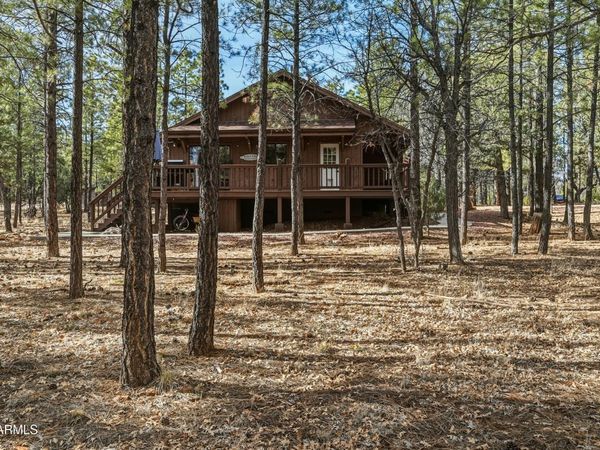 2768 APACHE Drive, Happy Jack, AZ 86024