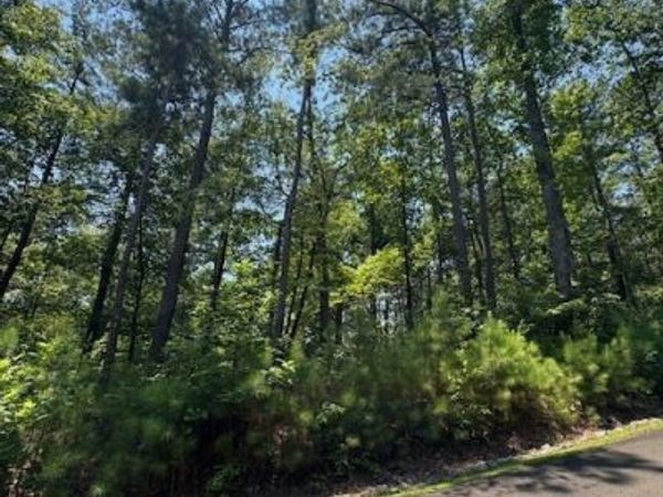 0 Carters View, Ellijay, GA 30540
