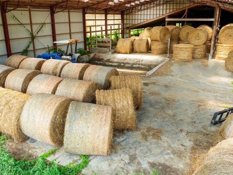 7686 Peck Road, Ravenna, OH 44266 Photo 11