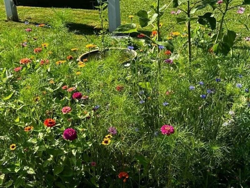 3924 Webb Lane, Stockport, OH 43787 Photo 31