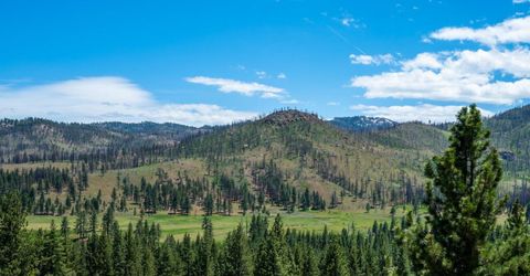 151 Silver Peak Road, Markleeville, CA 96120 Photo