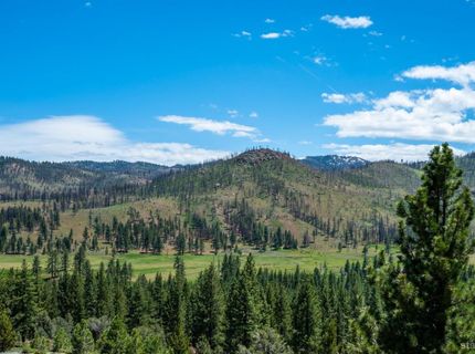 151 Silver Peak Road, Markleeville, CA 96120 Photo