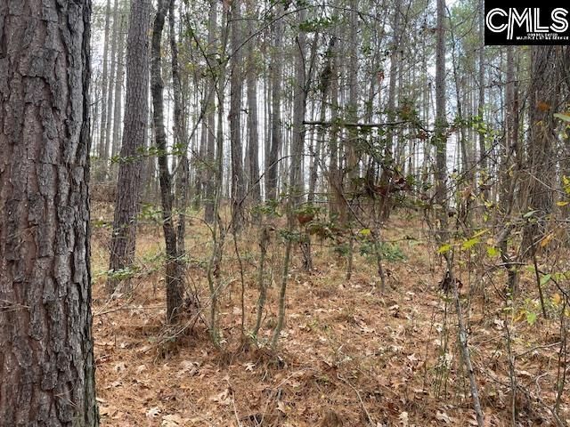 Pineland Road  Photo 10