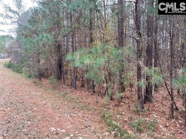 Pineland Road  Photo 11