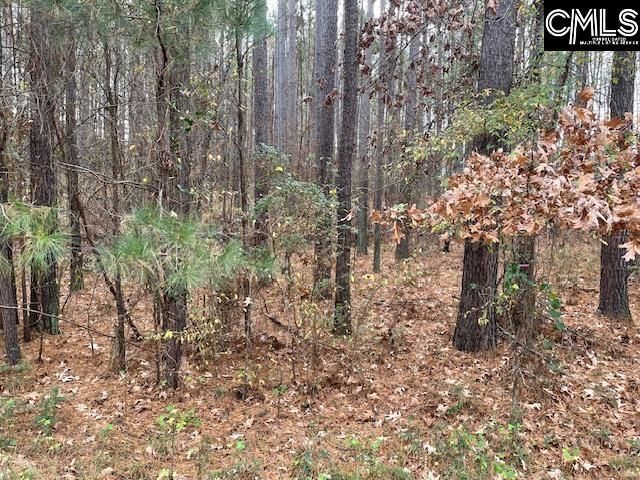 Pineland Road  Photo 12