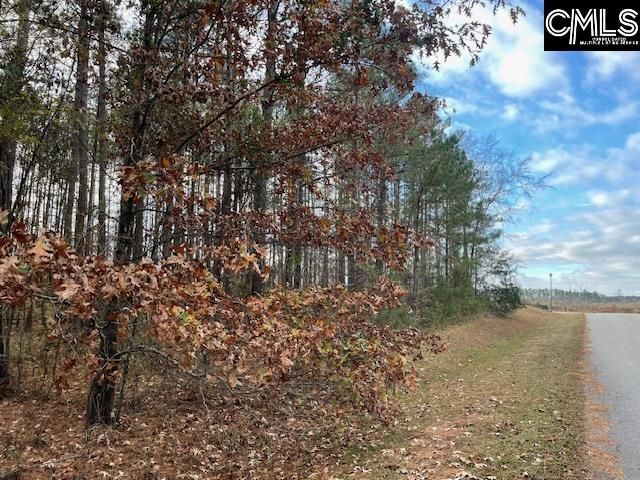 Pineland Road  Photo 13