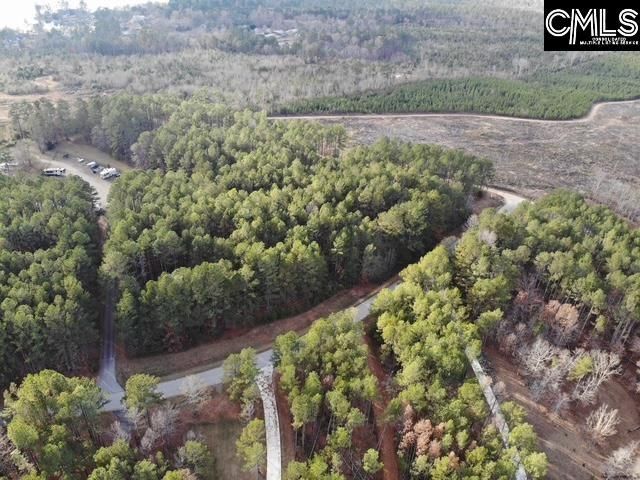 Pineland Road  Photo 17