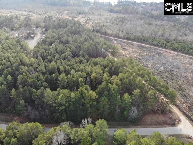 Pineland Road  Photo 18