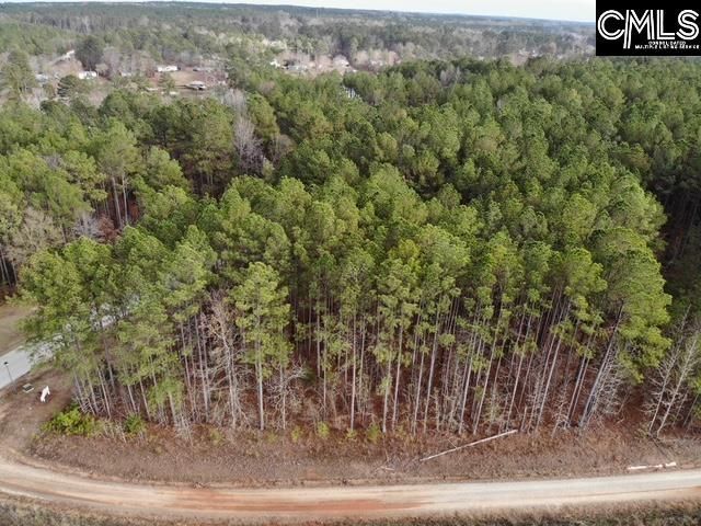 Pineland Road  Photo 19