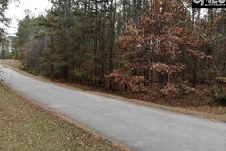 Pineland Road  photo 4