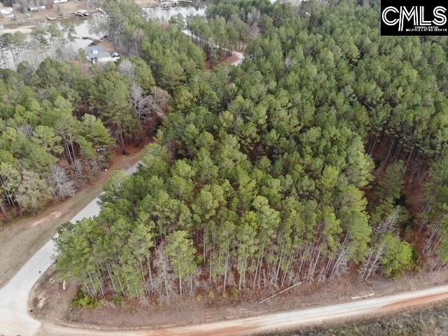 Pineland Road  Photo 20