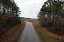 Pineland Road  photo 4