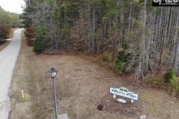 Pineland Road  photo 4