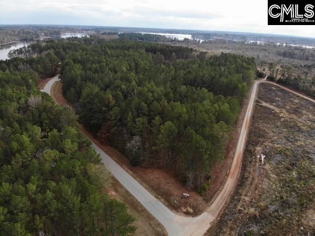 Pineland Road  Photo 6