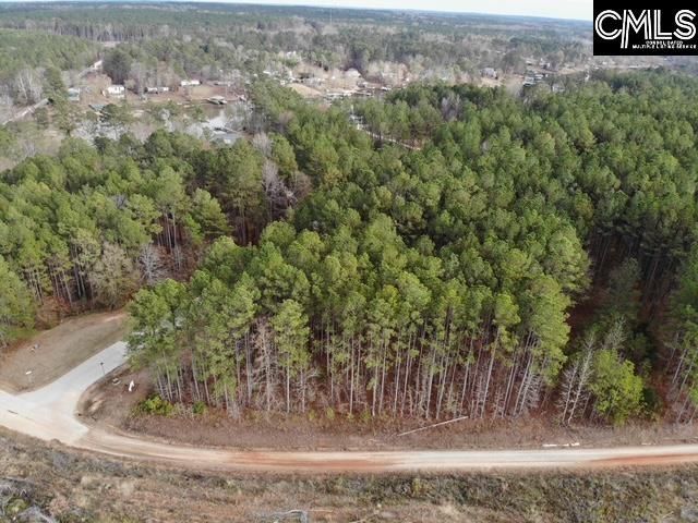 Pineland Road  Photo 7