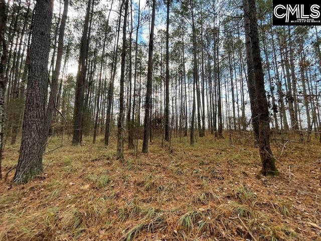 Pineland Road  Photo 8