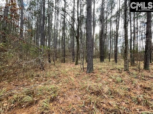 Pineland Road  Photo 9