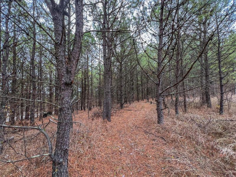 0 Oakland Church Road , Chandlersville, OH 43727 Photo 2